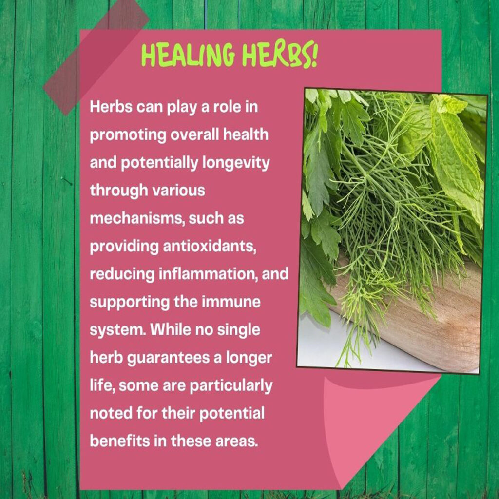 ENERGIZE YOU LIFE - 3